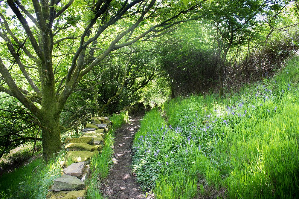 Cat Holes Walk Marsden Walkers are Welcome image