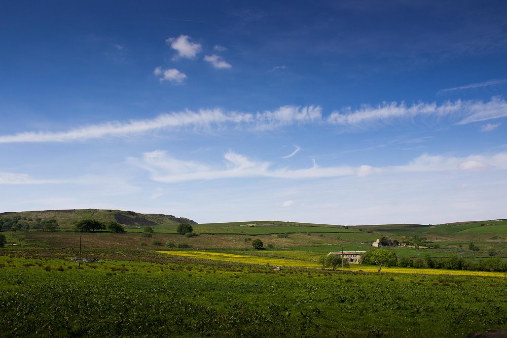 Deer Hill walk placeholder image