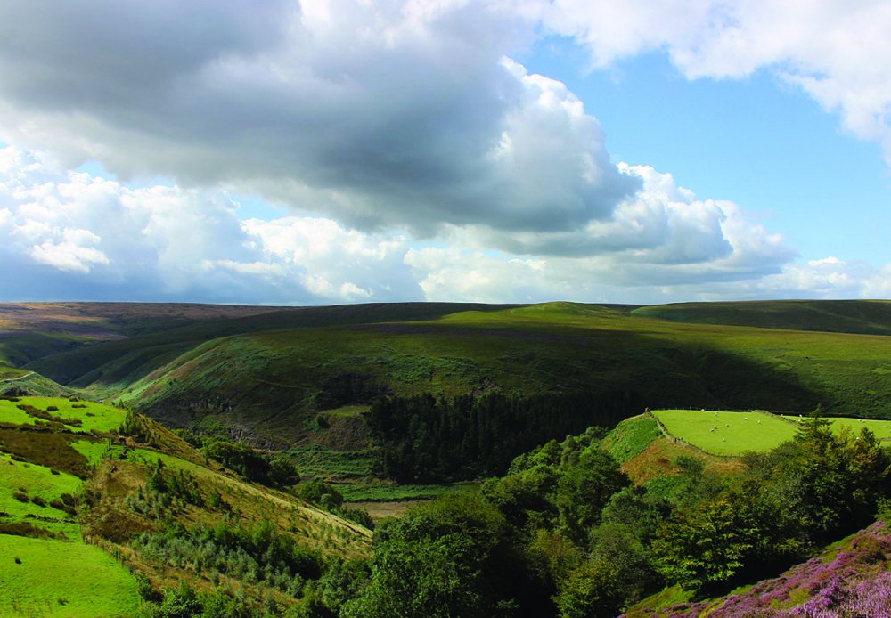 Intake Head Walk placeholder image