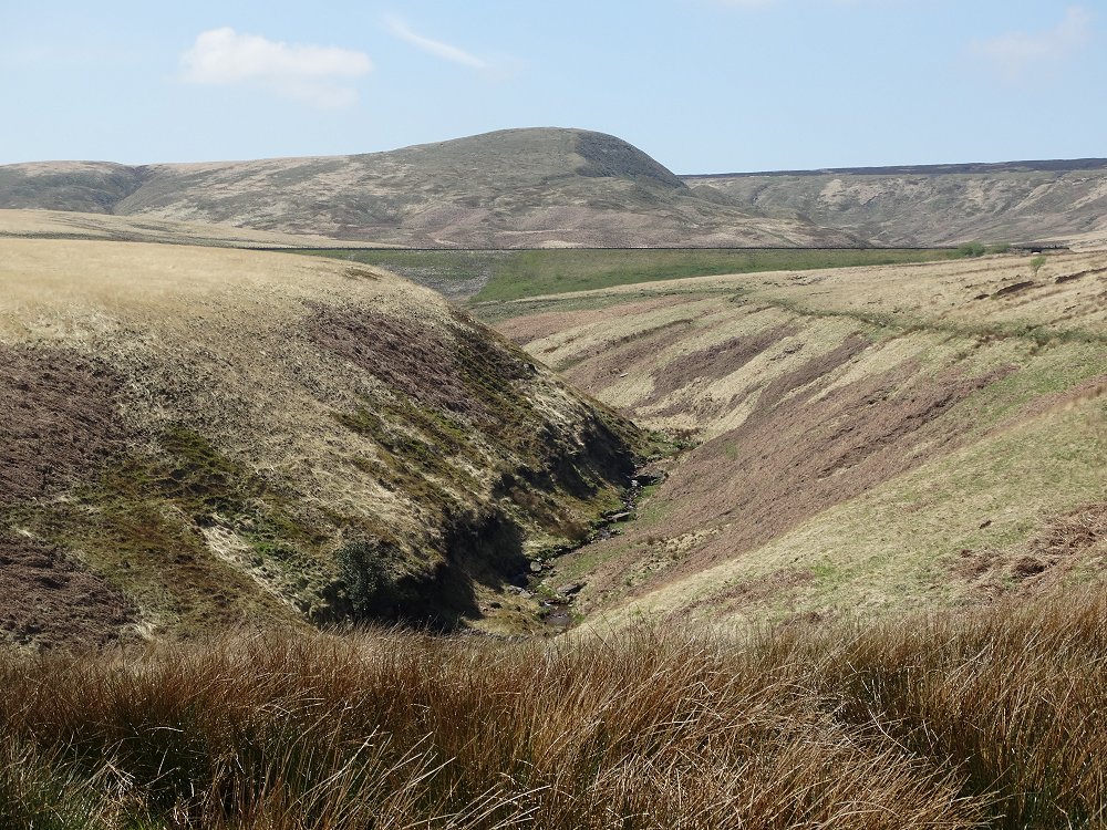 March Hill walk placeholder