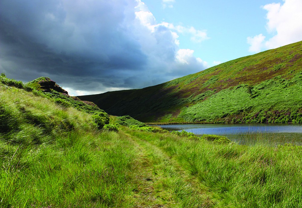 Swellands Walk placeholder